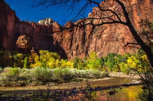 Zion Canyon, Fall-4433.jpg